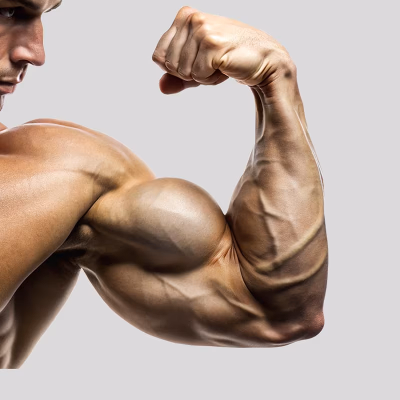 Weight Gainers