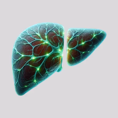 Liver Care