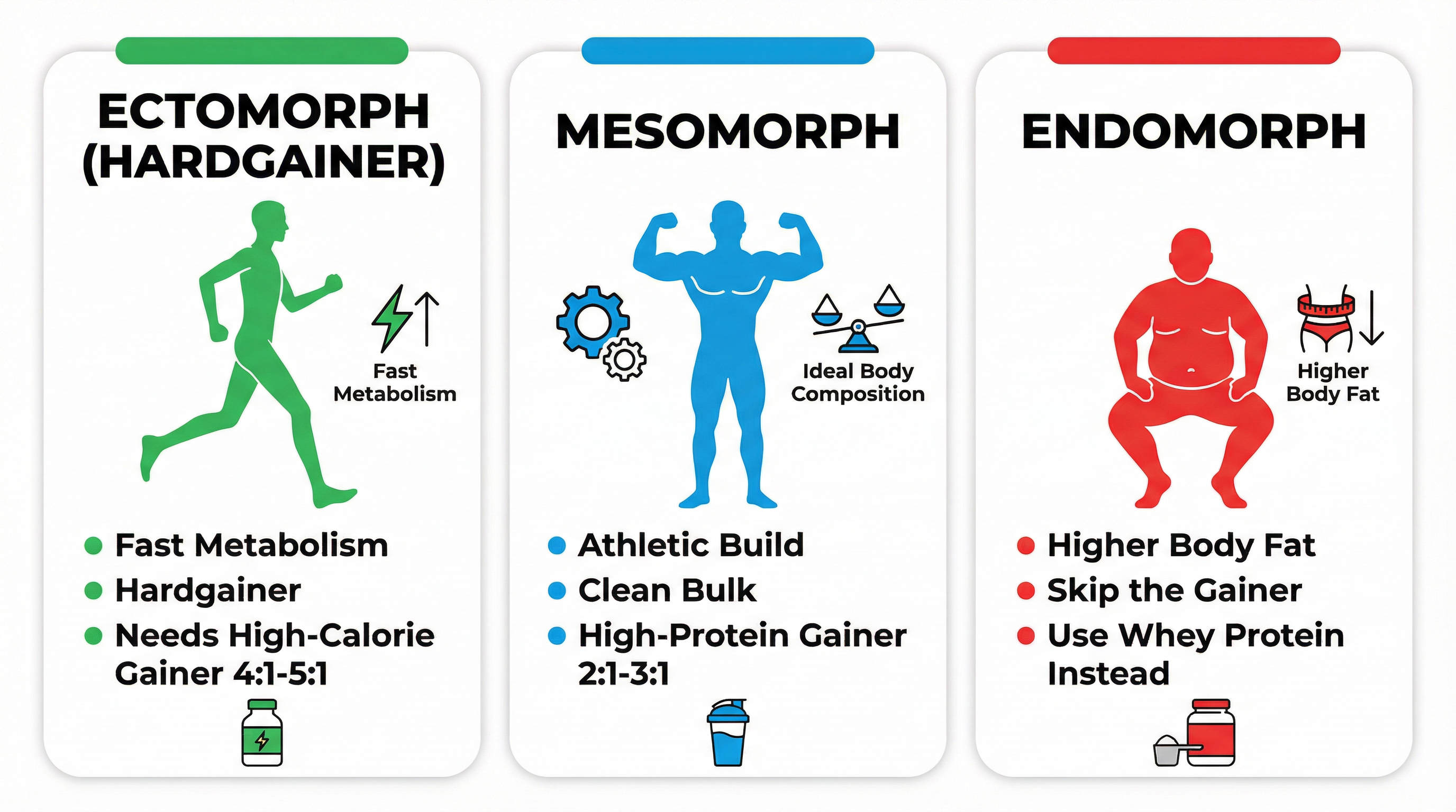 Infographic comparing ectomorph, mesomorph, and endomorph body types with recommended gainer types for each