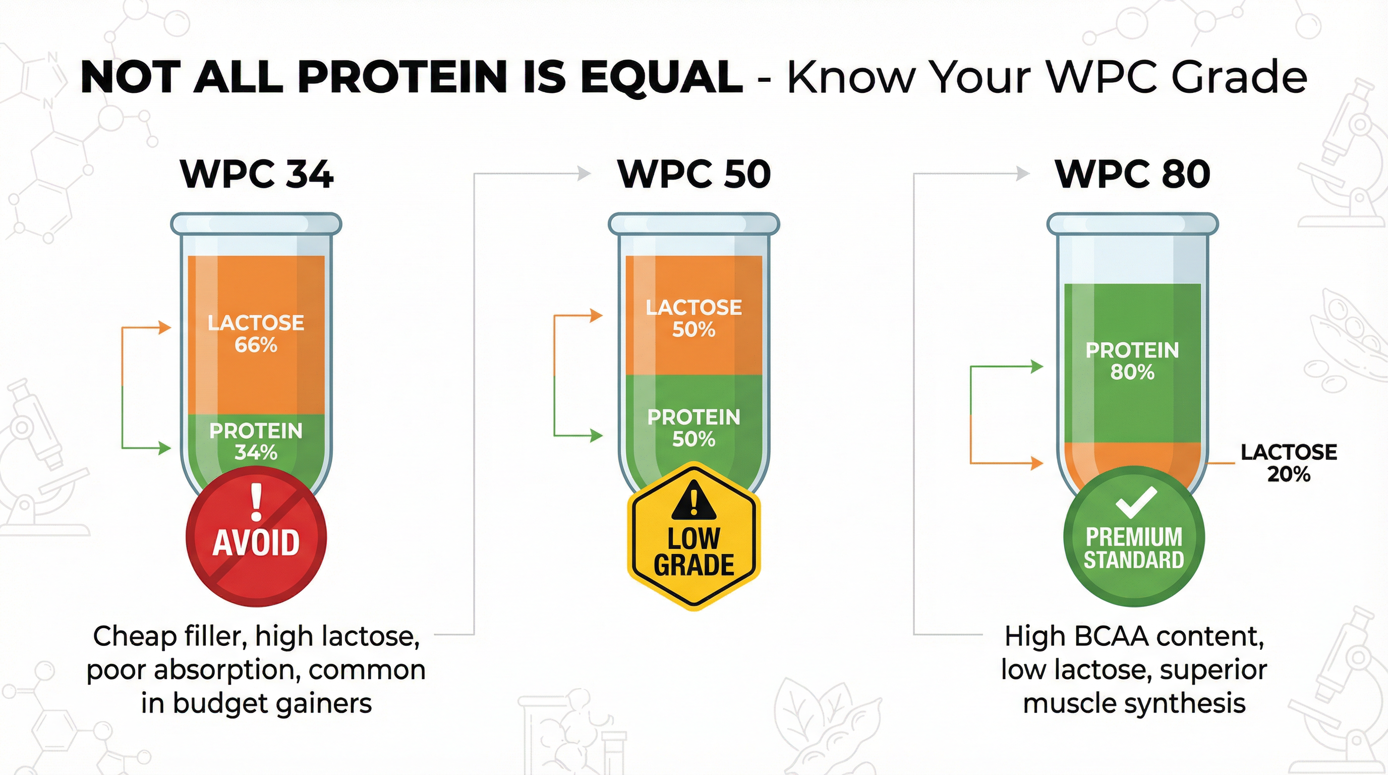 Infographic comparing whey protein concentrate grades WPC34, WPC50, and WPC80 showing lactose vs protein content