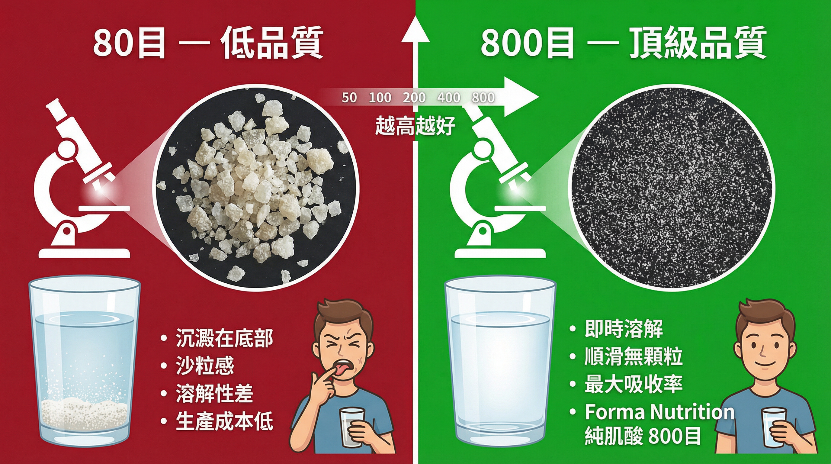 信息圖比較低目數與高目數肌酸